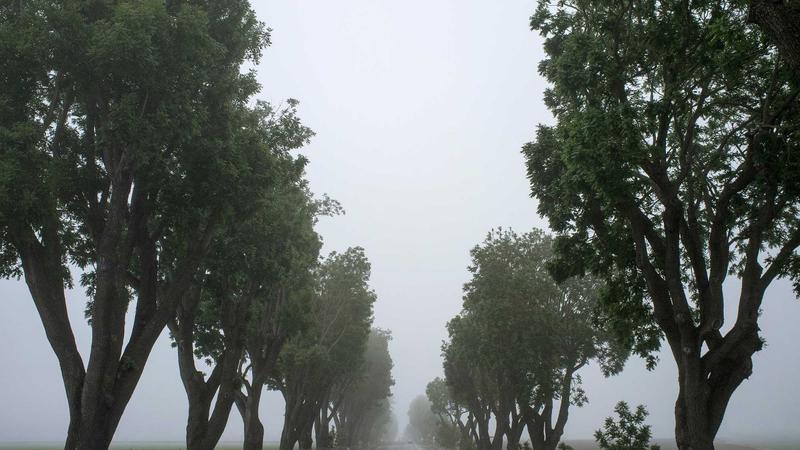 铂莱国际娱乐大型文旅项目落地盛况